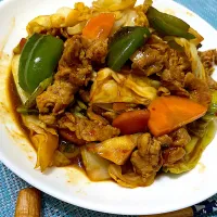 野菜たっぷり辛口回鍋肉|単身赴任のっちさん