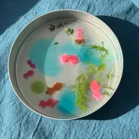 手作り金魚ゼリー|mimiしろさん