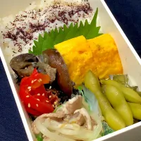 ゆかりご飯、たまご焼き、もやしと豚の塩炒め、茄子の油味噌、パプリカナムル、枝豆|きらきらさん
