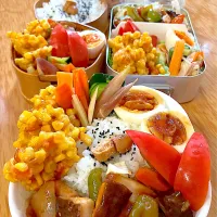 家族お弁当🍱ლ(´ڡ`ლ)❤️|ふみぃさん