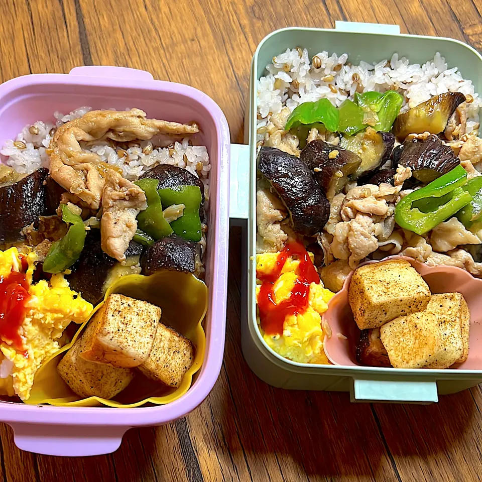 お弁当🍱|あおさん