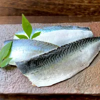 釣り魚🎣しめ鯖🐟|9421beruさん