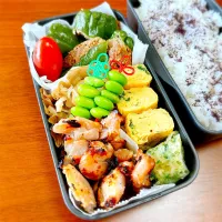 お弁当| teritamagoさん