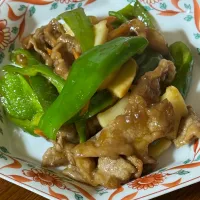 おうち中華　牛肉とピーマンの炒め物|mimiしろさん