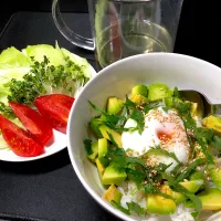 17:26 アボカド丼🥑| へれ子さん