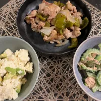 豚こまとピーマンの黒酢炒め|たこさん