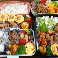 久々四人弁当|ゆきこさん