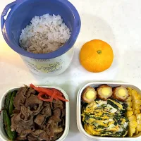 7月17日のお弁当🍱|momotoemiさん