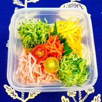 2025.7.17冷やし中華弁当