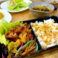 照りっ照り生姜焼き弁当|しばざきまりさん