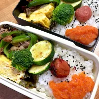 パパ長男弁当🍱|しーちゃんさん
