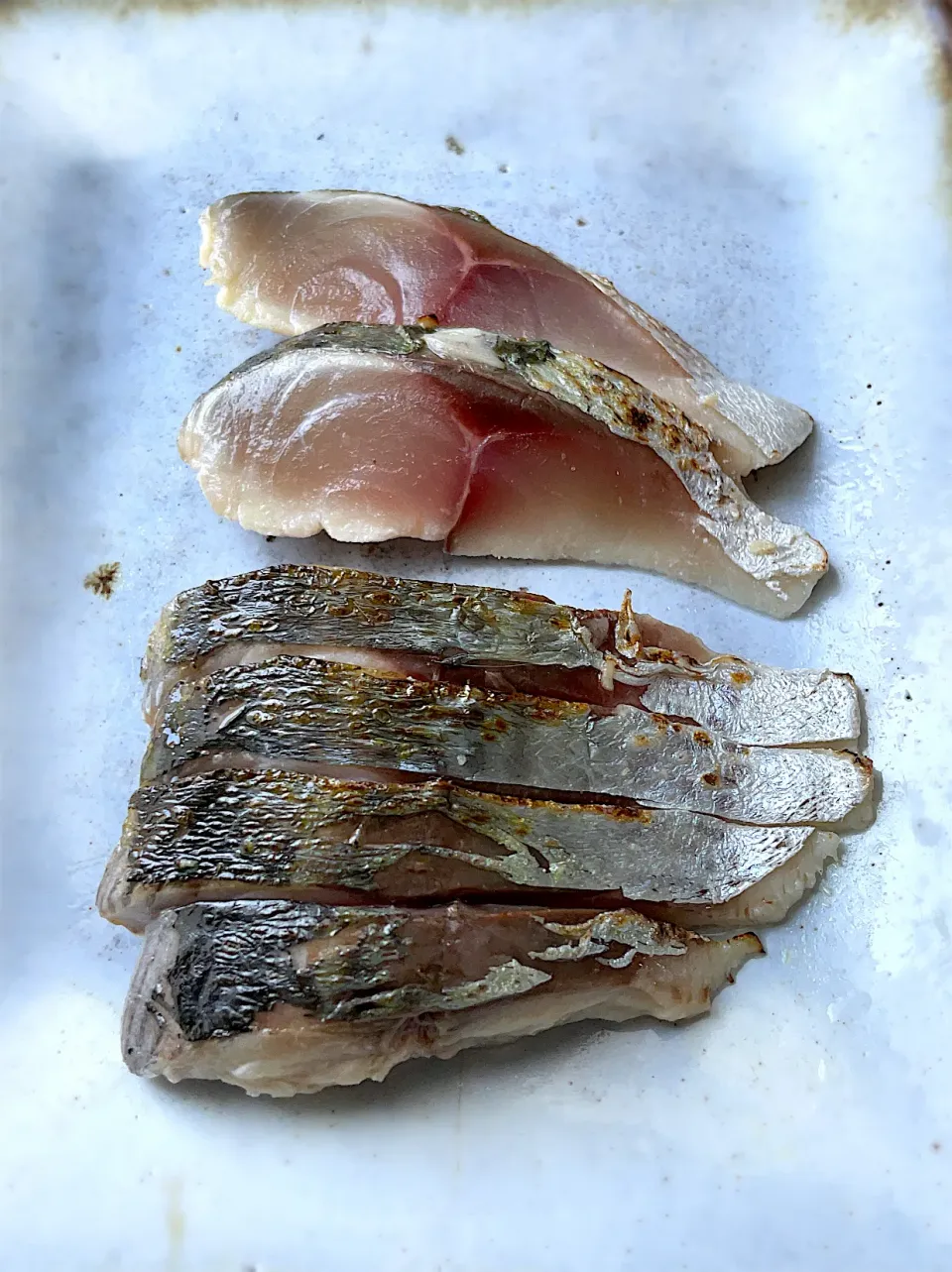 釣り魚🎣しめ鯖🐟|9421beruさん