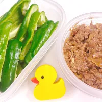 本日のサラダ弁当| ゆうかさんさん