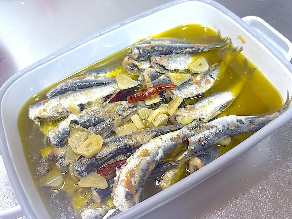 オイルサーディン|Hizume Masumiさん