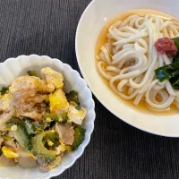 ゴーヤーチャンプルーと冷やしうどんのお夕飯🌛|みーぬさん