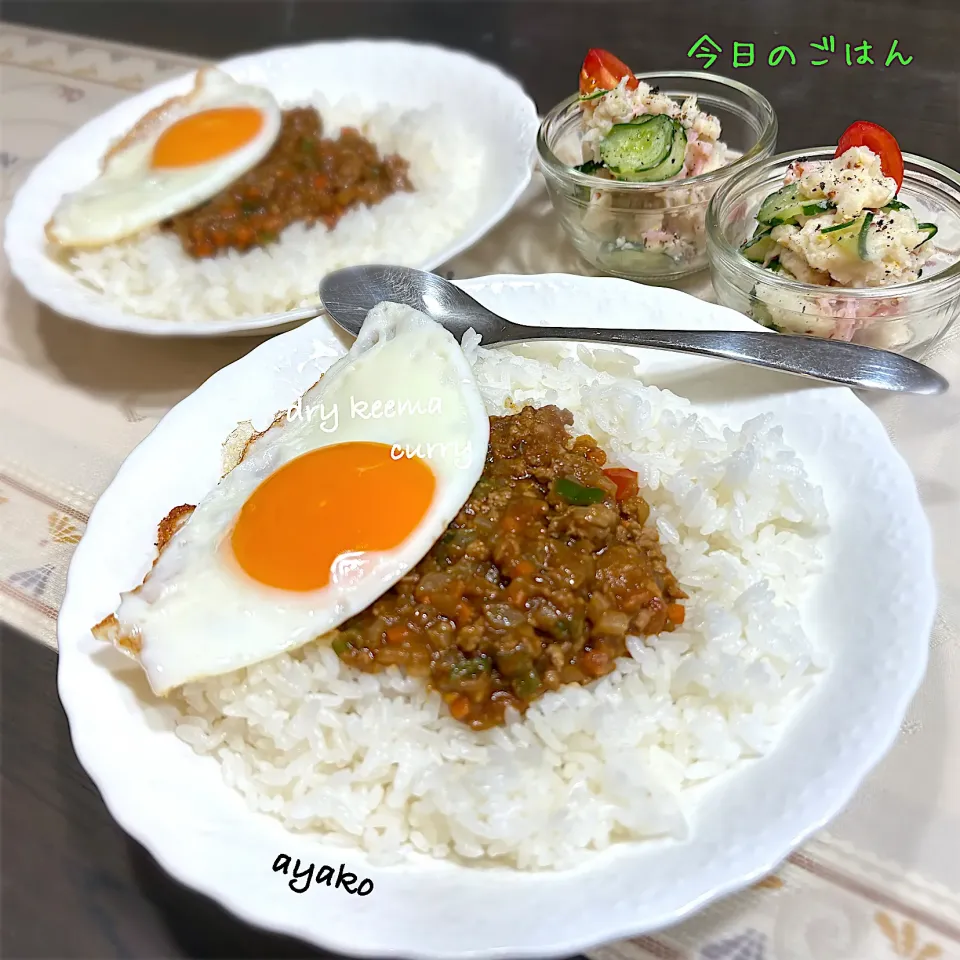 ドライキーマカレー|亜矢子さん