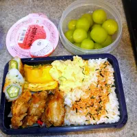 TGG遠足弁当7/18|まりっぺ2025さん
