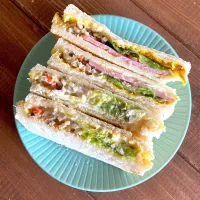サンドウィッチマン🥪|さくらさん