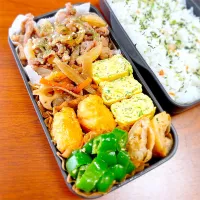 お弁当|teritamagoさん