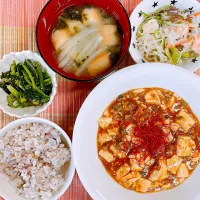 麻婆豆腐♡春雨サラダ♡ほうれん草のごまあえ♡お味噌汁♡|まゆかさん