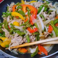 チンジャオロース|もちもちだいたいひこ🐺さん