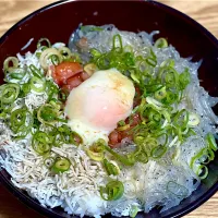☆温玉いか明太2種のしらす丼|まぁたんさん