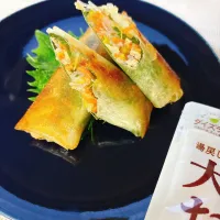 大豆のお肉ミートで夏野菜春巻き|さちっぺさん