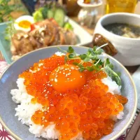 いくら丼！|ラゴさん。さん