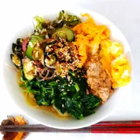 7/18のお昼ごはん
夏野菜とツナの冷やし中華|卯月さん