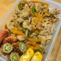 豚肉と野菜炒め弁当|Msanさん