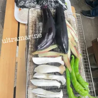 ＊久しぶり、炭火焼きparty♫＊|ultramarineさん