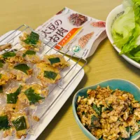 大豆のお肉レタス包みとライスペーパー巻き|hrk219mtさん