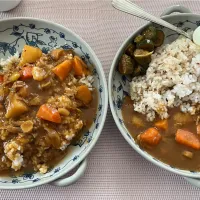 手作りきゅうりのQちゃんをお供にカレーで晩ごはん~(^^)❤︎| いつくしみちゃんさん