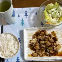 鶏もも肉と、白ネギ|マースさん