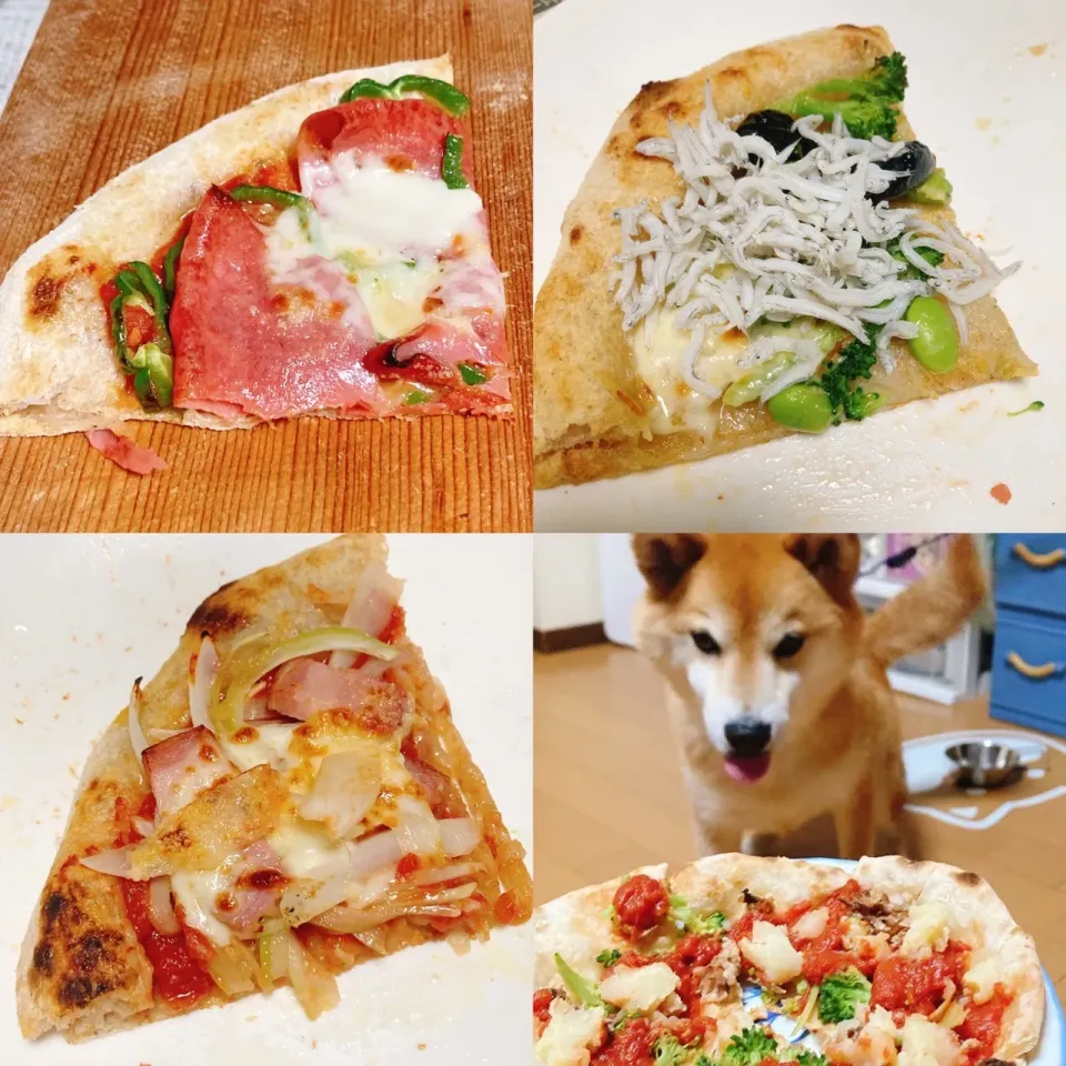 pizza🍕|あーるさん