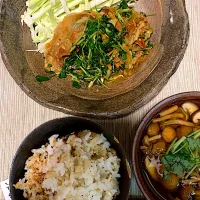 生姜焼き　ザーサイと豆苗入り