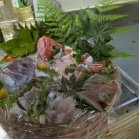 キントキ鯛科と真鯛のお造り