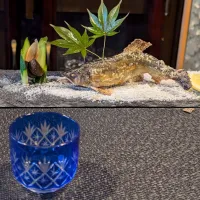 鮎の塩焼 手づくり黒にんにく付け