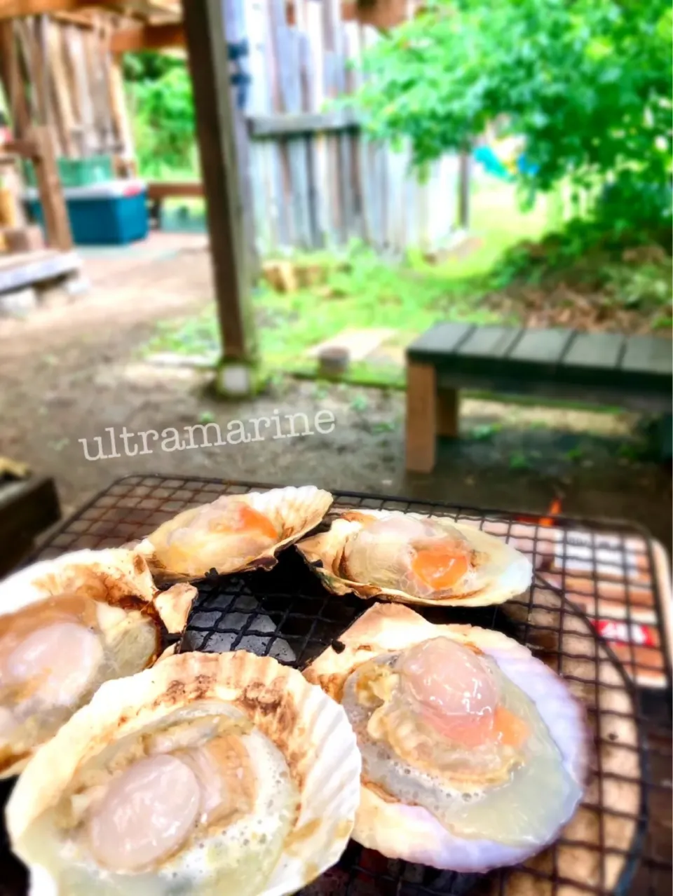 ＊炭火焼き♫ほたて＊|ultramarineさん
