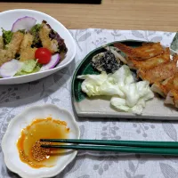 餃子とイカフライサラダで晩酌|おかめんさん