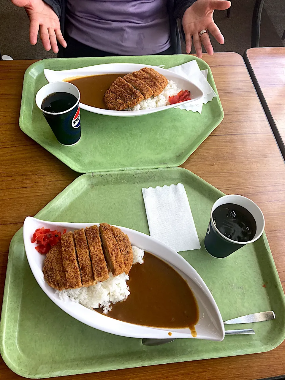 今日は家内（はやと）と車山（霧ヶ峰）登山。下山後、スカイプラザレストランで車山高原スパイシーカツカレーをいただきまーす😋|なびさん