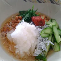 しらすおろし梅納豆そうめん|とだともさん