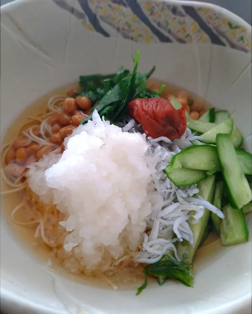 しらすおろし梅納豆そうめん|とだともさん