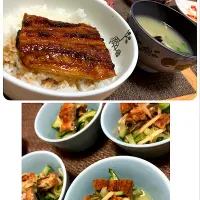 鰻丼|侑子さん