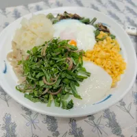 「アルモンデ乗っけ冷やし蕎麦」|バシュランさん