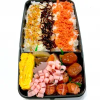 早朝お弁当|爰音さん