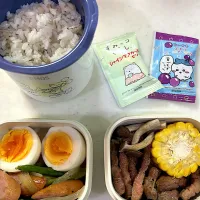 7月22日のお弁当🍱|momotoemiさん