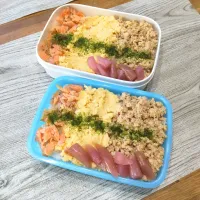 三色丼弁当| puniさん