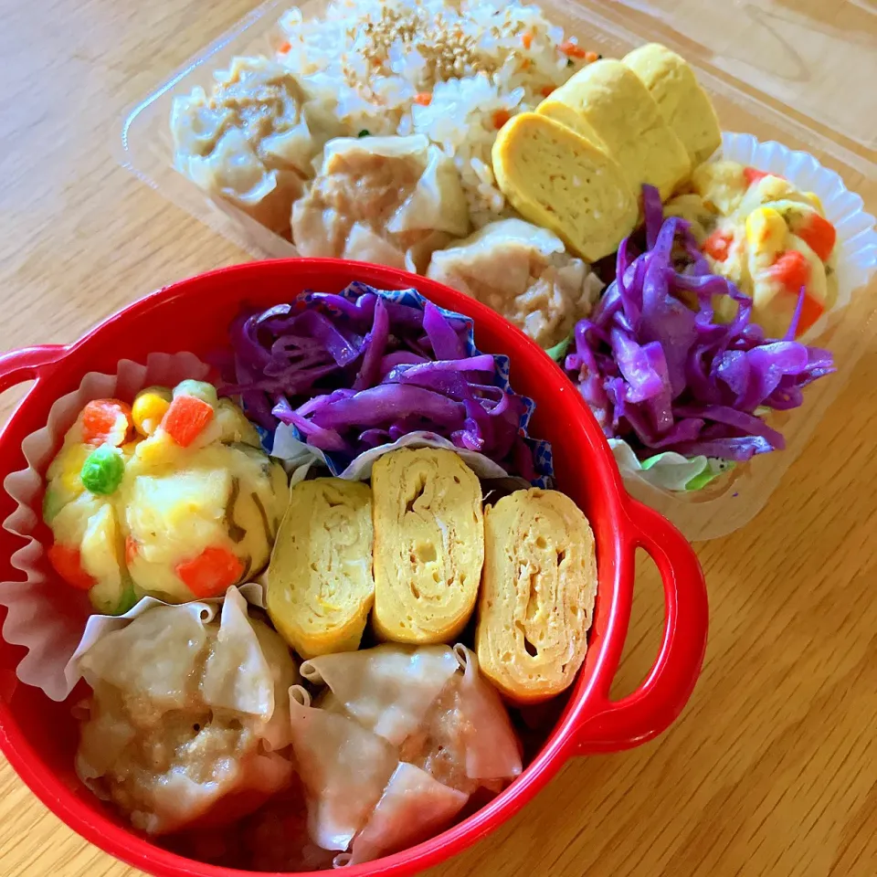 夫と次女のお弁当🍱🍙|シズソラさん