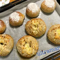 ＊甘酒のツナごぼうパン♫ぶどうパン＊|ultramarineさん